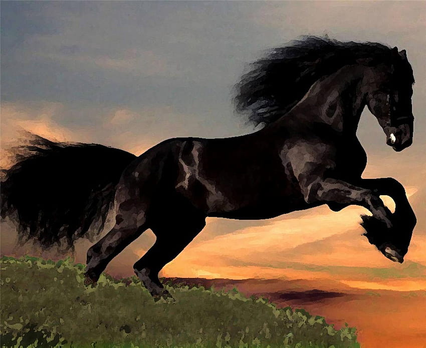 MAJESTIC FRIESIAN HORSE, horses rearing HD wallpaper