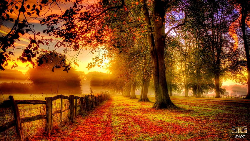 Hello and Happy Autumn! I hope you and your families are HD wallpaper