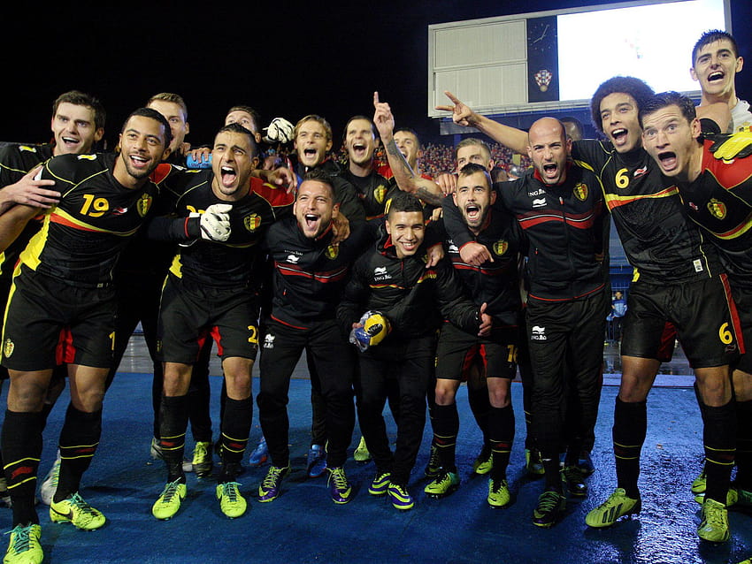 Belgium's footballers catch nationalists offside as team goes, belgium national football team HD wallpaper