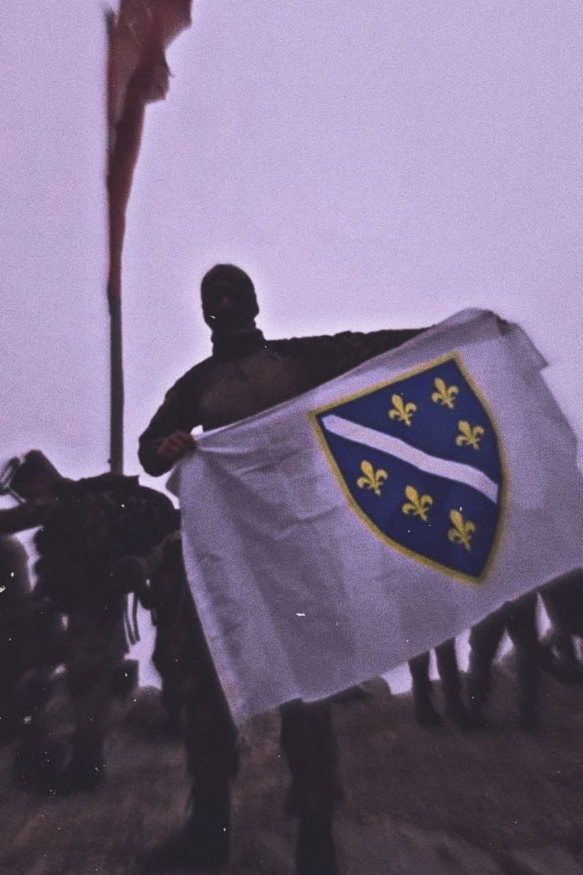 естетичен босненски патриот ⚜️, знаме на Босна и Херцеговина HD тапет за телефон