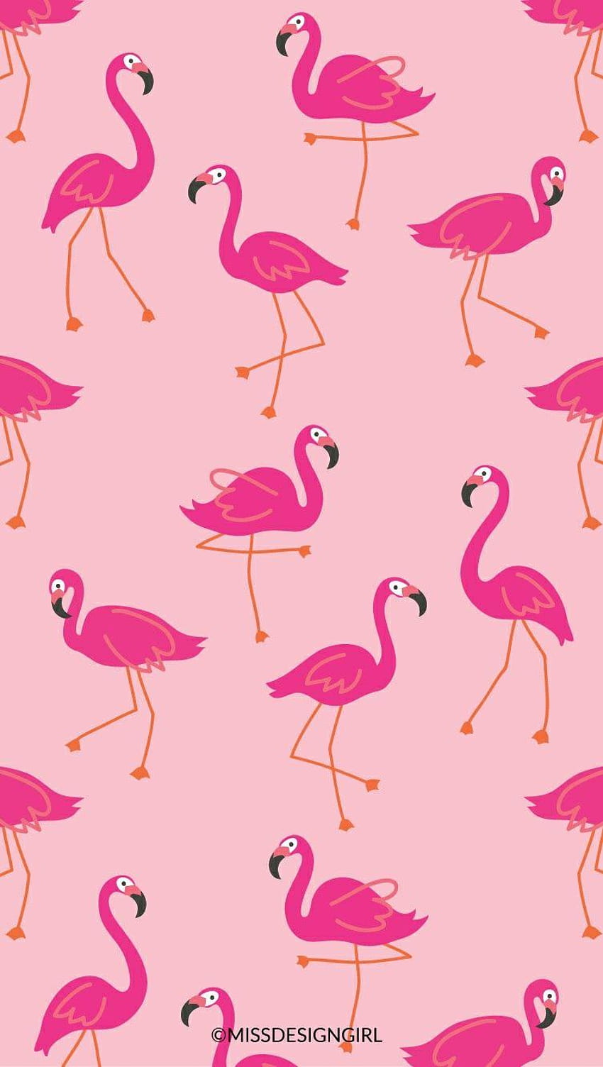 flamingo HD phone wallpaper