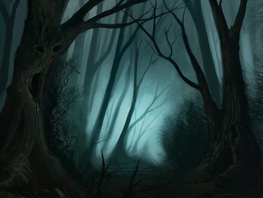 Creepy Dark Green Aesthetic, creepy woods HD wallpaper | Pxfuel