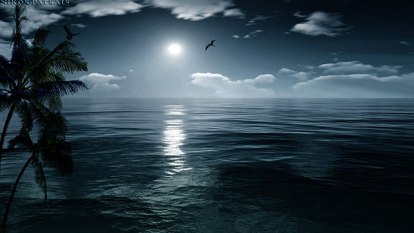 解像度: 1920x1080、Nature Perfect Night Sea Island Moon Ocean、海の夜空アニメ 高画質の壁紙