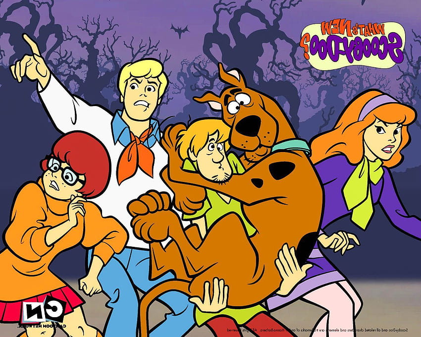 Scooby Doo Funny, kids fun tv HD wallpaper