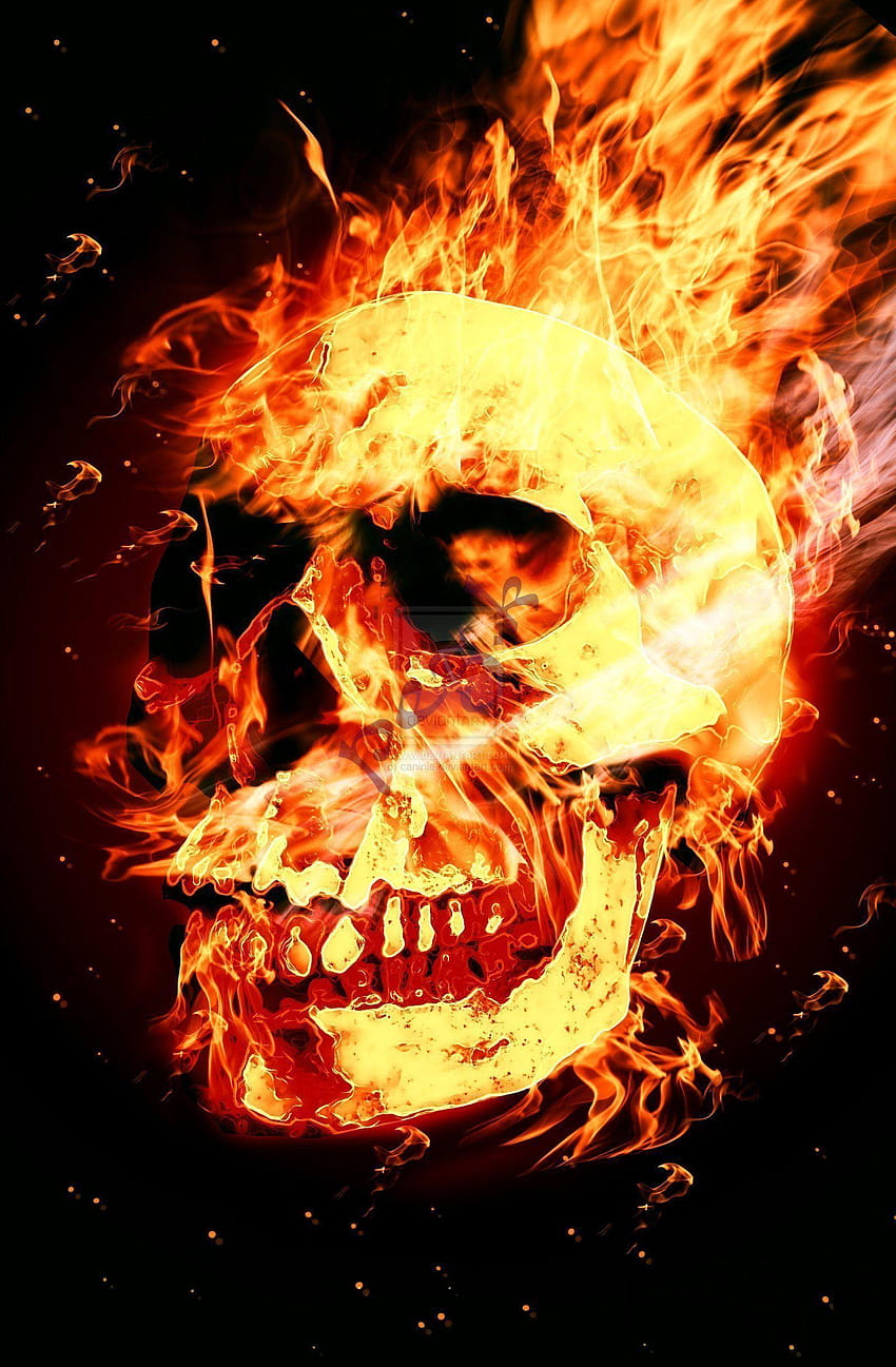 5 Skull Fire, 3d fire head HD phone wallpaper
