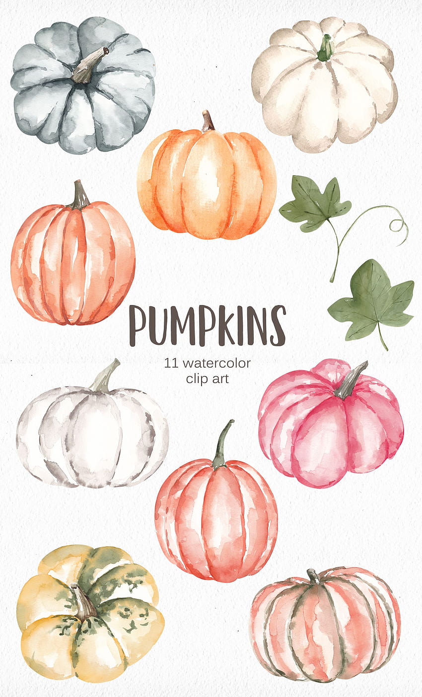 Watercolor Pumpkins Clipart, Pink, White, Blue Pumpkins, Thanksgiving Halloween Clipart, Fall Clipart PNG 47, autumn pumpkin watercolor HD phone wallpaper