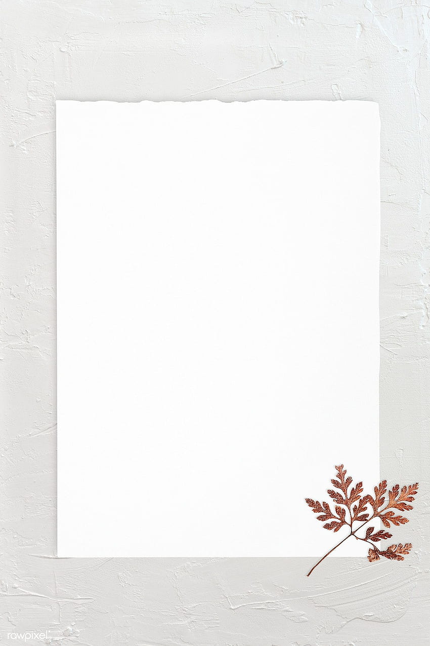premium psd of Blank white paper template with dry leaf 1201827, blank paper HD phone wallpaper