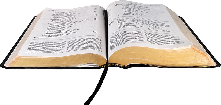 Bibel offen transparent & PNG Clipart, offene Bibel HD-Hintergrundbild
