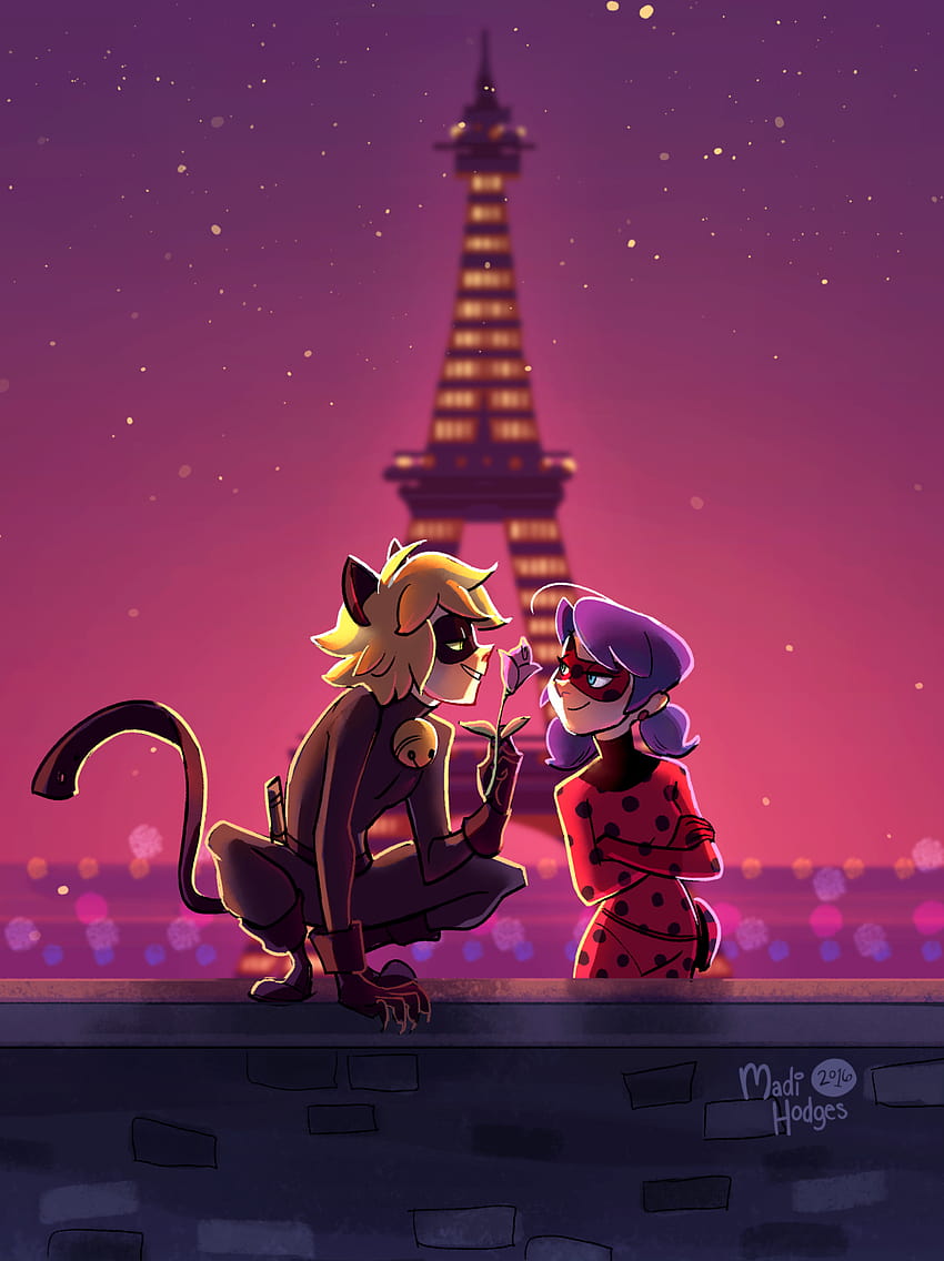 Miraculous Ladybug Chat Noir posted by Sarah Walker, anime ladybug and cat noir HD phone wallpaper