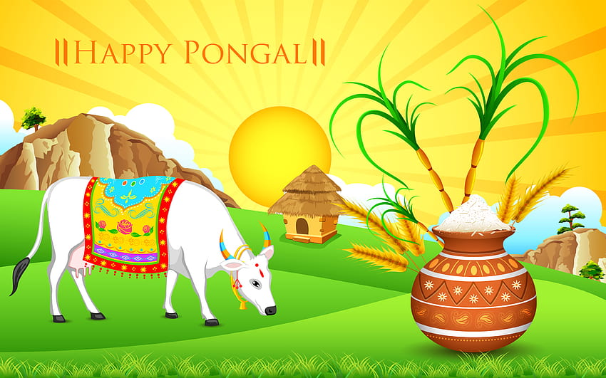 Happy Pongal 2022 , & HD wallpaper