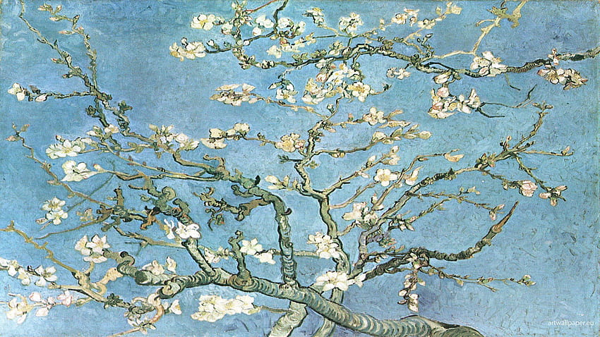 Bunga Almond , Lukisan, Vincent van Gogh, bunga van gogh Wallpaper HD