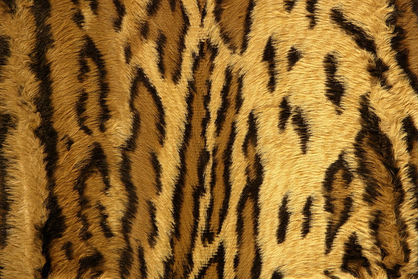 Cheetah Fur Group, cheetah print HD wallpaper | Pxfuel