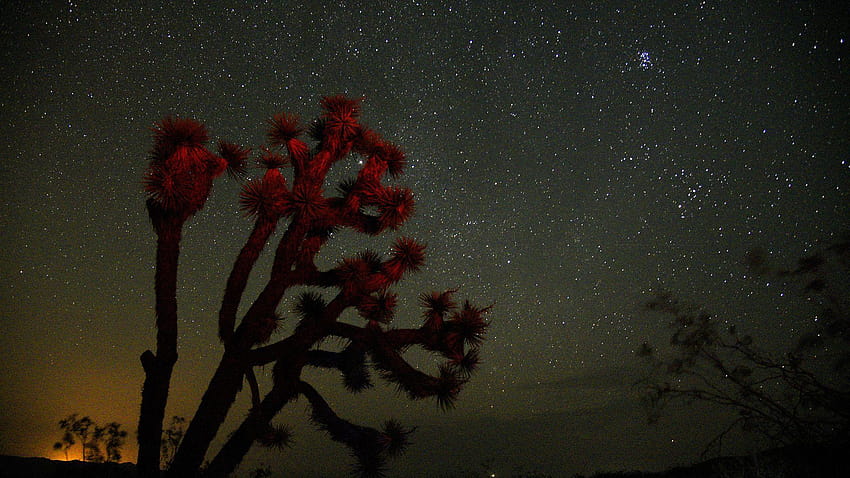 Perseidowy deszcz meteorytów zostanie zagłuszony przez jasne światło księżyca, Perseidowy deszcz meteorytów 2019 Tapeta HD