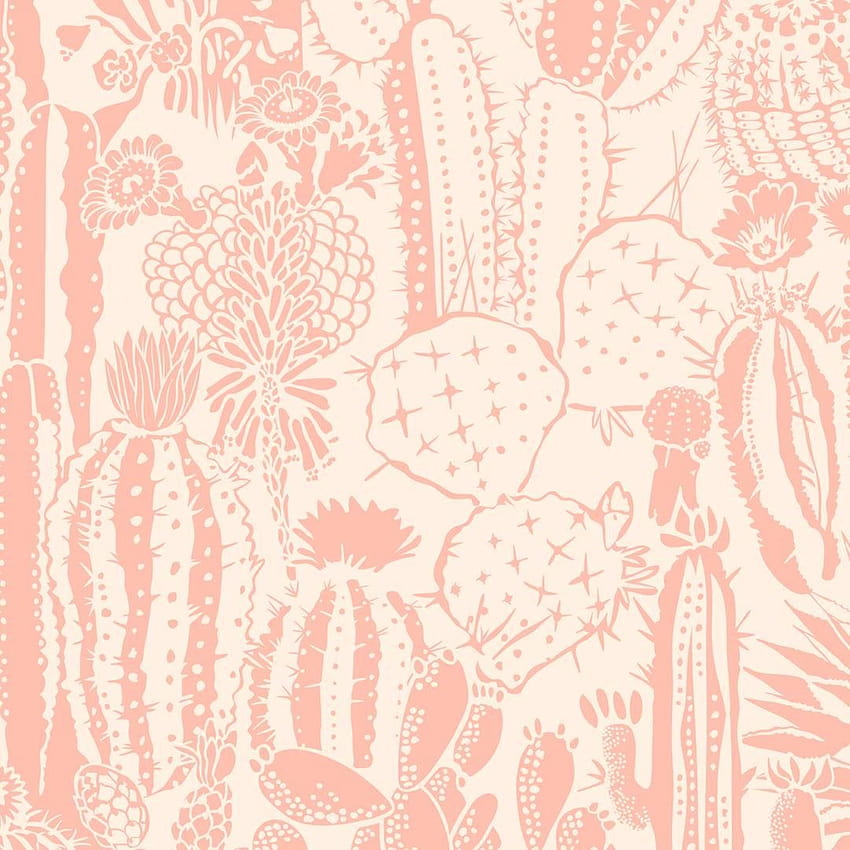 Cactus Spirit Designer w kolorze Splendid „Salmon Pink and Blush” na sprzedaż w 1stDibs Tapeta na telefon HD