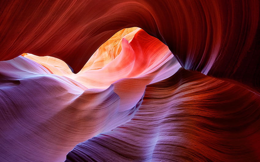 : sunlight, abstract, nature, red, stones, cave, USA, pink, Arizona, spring, rock formation, Antelope Canyon, flower, plant, petal, 3200x2000 px, computer , close up, macro graphy 3200x2000 HD wallpaper