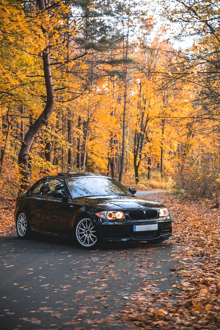 Stock of bmw 135i, bmw 135i iphone HD phone wallpaper | Pxfuel