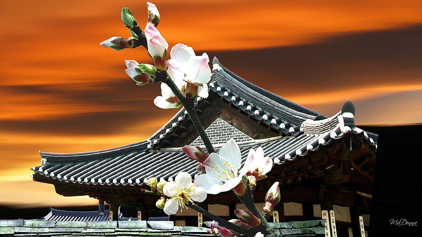 Sunset cherry blossoms pagodas oriental pagoda HD wallpaper