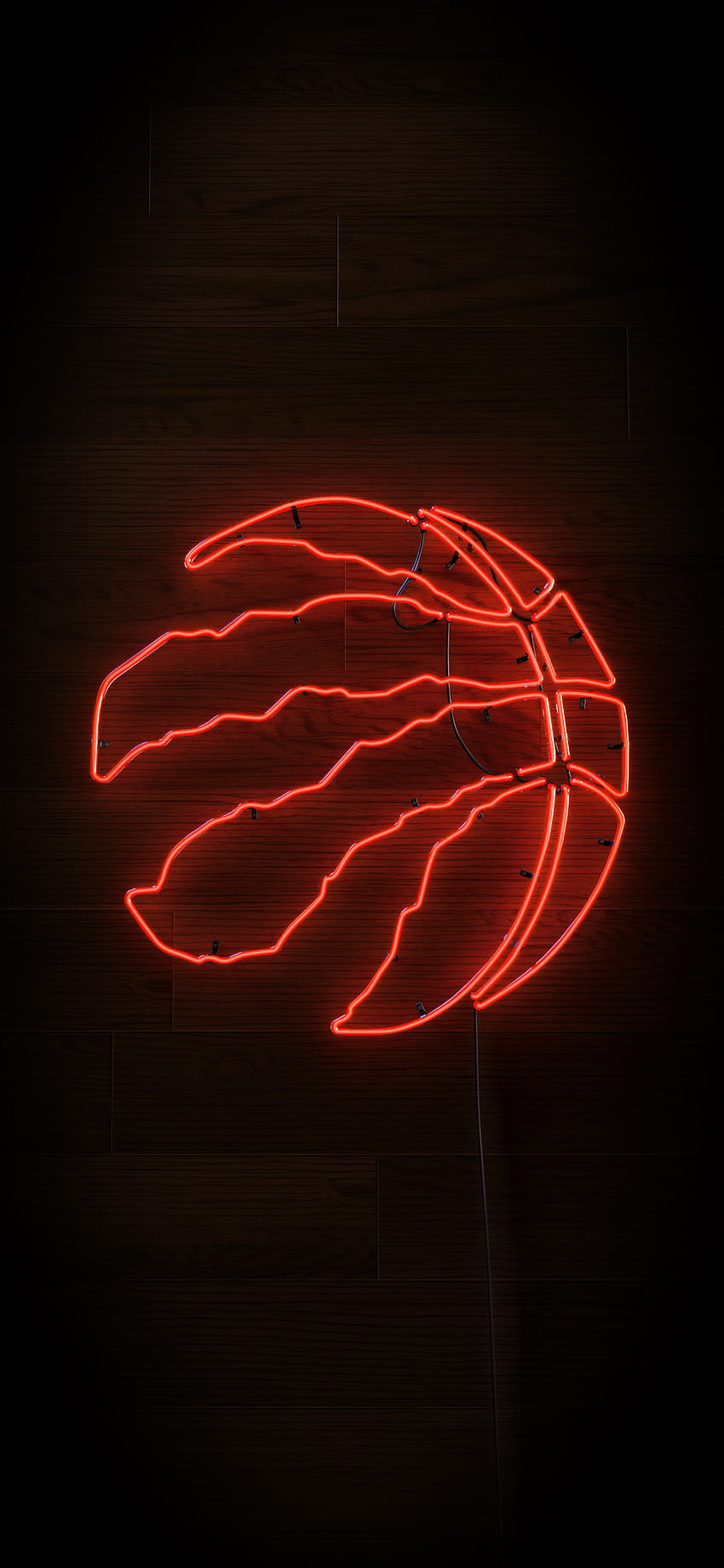 Created a phone in anticipation of tonight's game, toronto raptors 2019 HD phone wallpaper