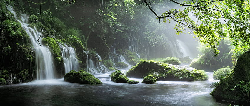 Spring Waterfall Stone Fog Mist Green Forest , Nature, Backgrounds, and HD wallpaper