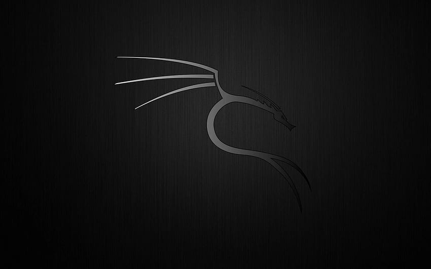 Negro Ultra Linux, kali linux fondo de pantalla