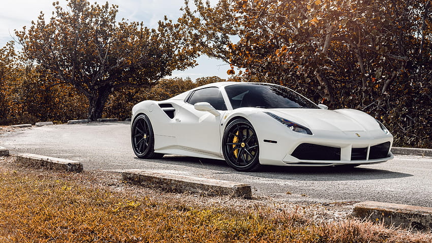 AG Blanco Ferrari 488, blanco ferrari fondo de pantalla | Pxfuel