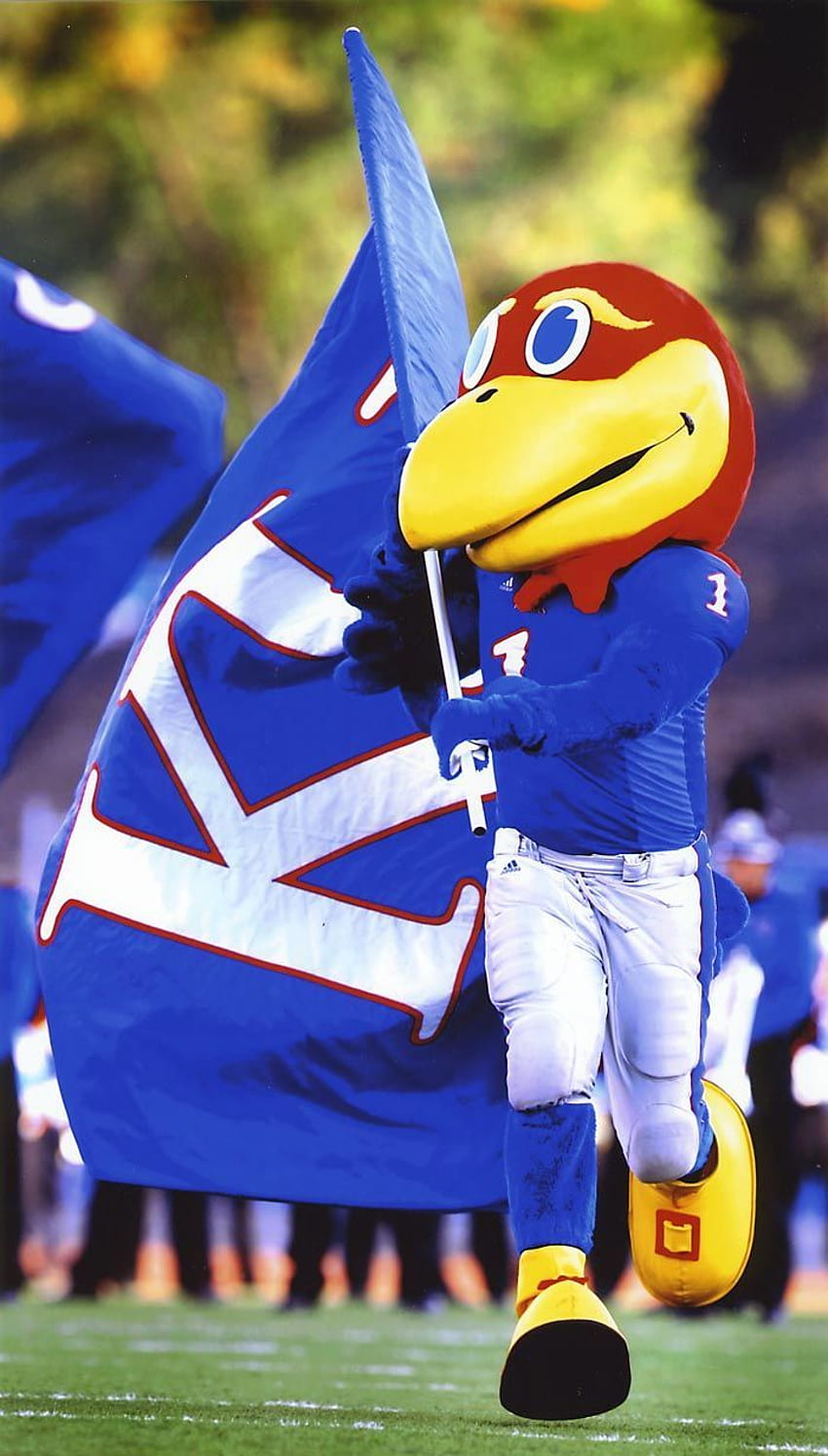 Need a new KU flag for the outside of our house., kansas flag HD phone wallpaper