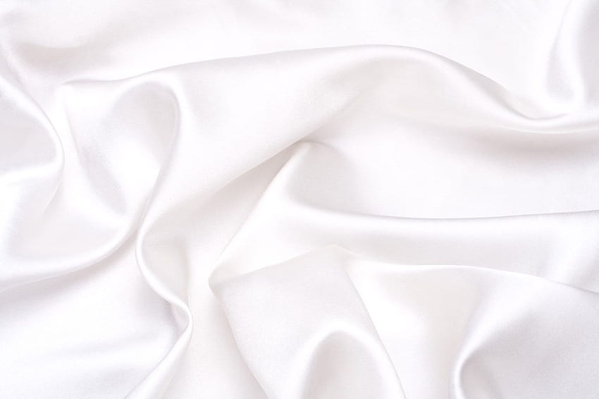 Ivory Silk on Dog, white silk HD wallpaper