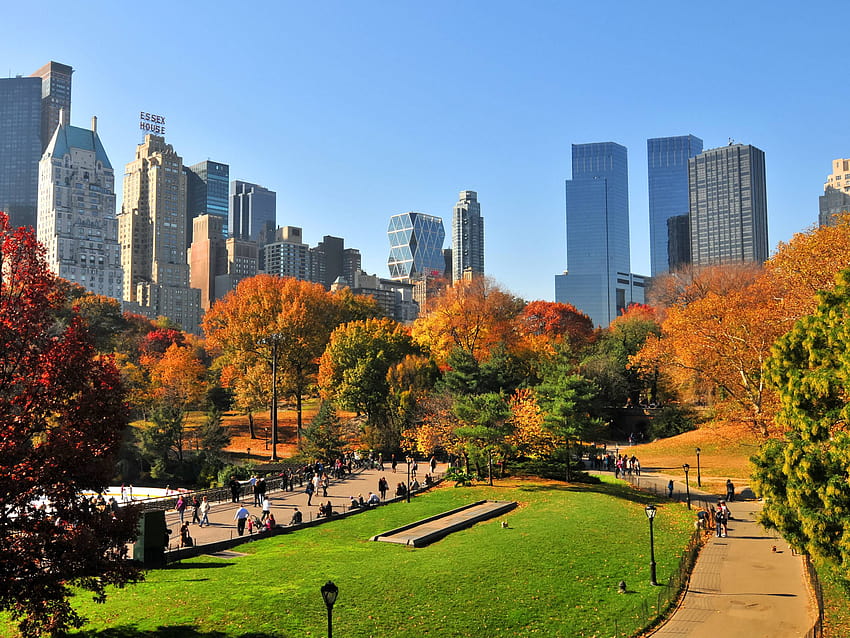 Central Park en Nueva York durante el otoño fondo de pantalla