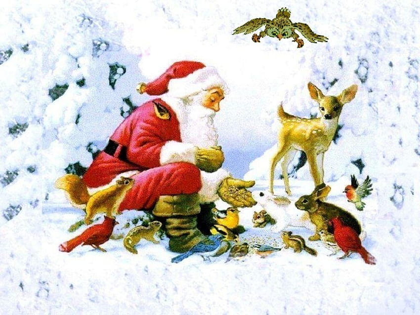 Babbo Natale HD wallpaper