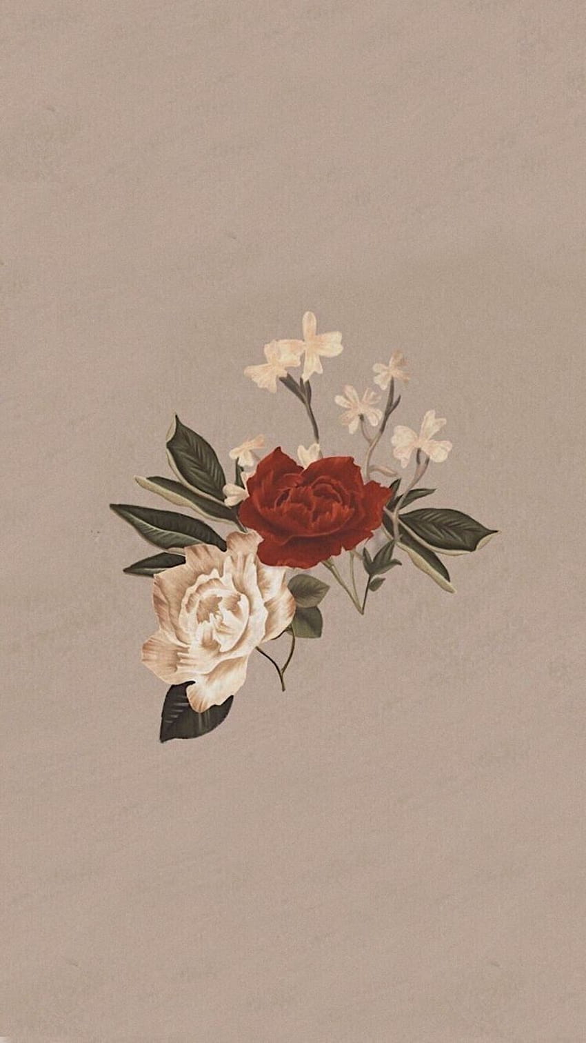 Brown flowers HD phone wallpaper | Pxfuel