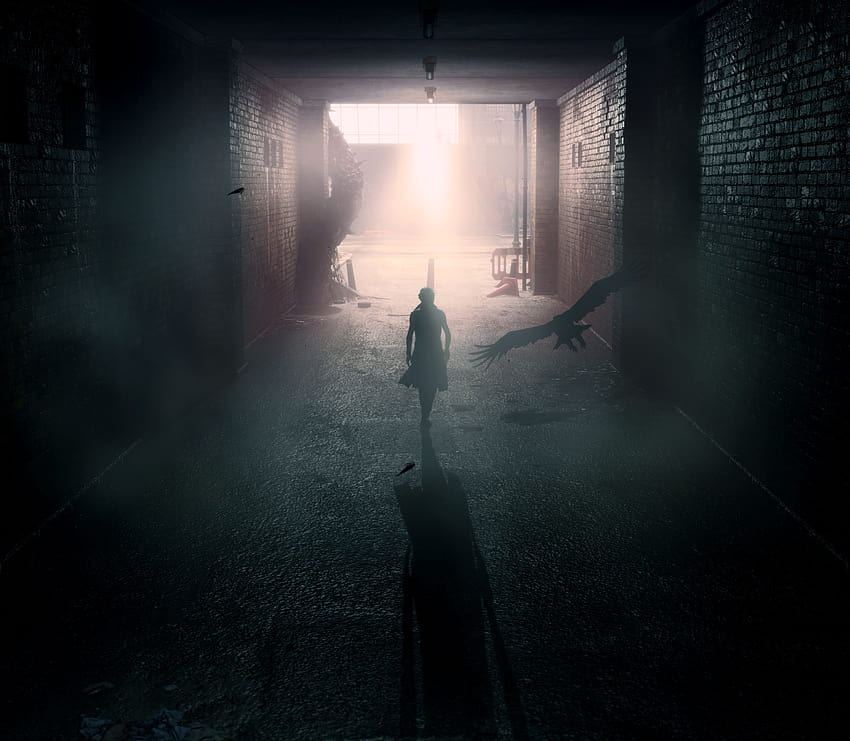 Shadow Man Devil May Cry 5, Games HD wallpaper