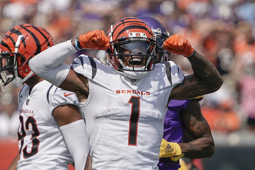 Mantan LSU Tiger Ja'Marr Chase bersinar dalam debut NFL, jamarr chase bengals Wallpaper HD