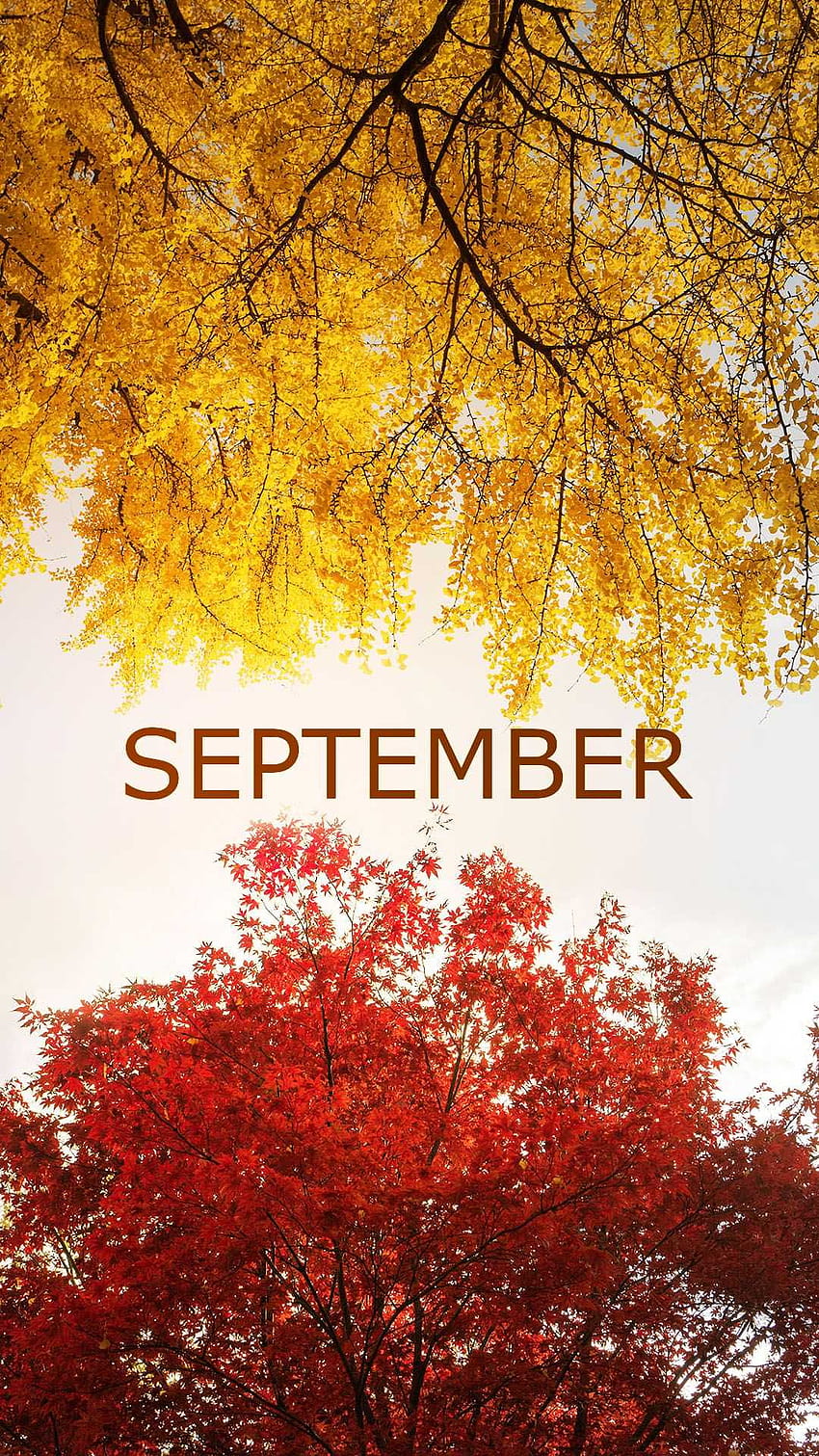 September 2022 Calendar iPhone Wallpapers HD  PixelsTalkNet