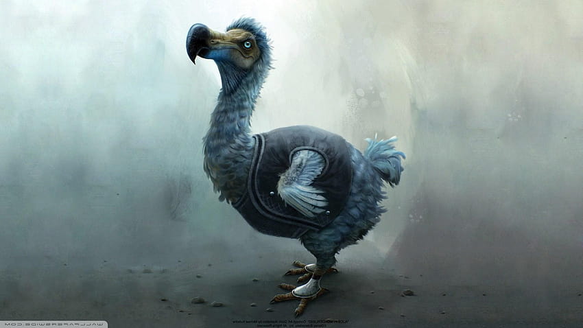 Kepunahan 'Sang Ahli', dodo Wallpaper HD
