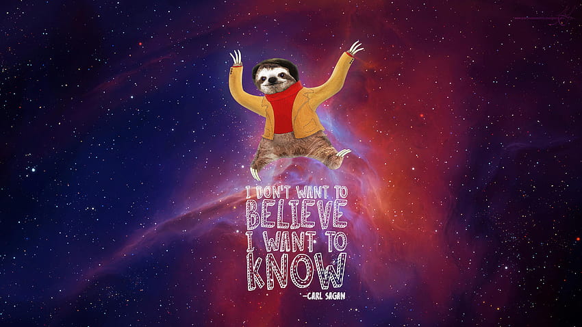 Carl Sagan Sloth, space sloth HD wallpaper
