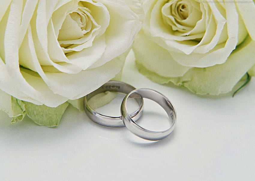 All Beautifull: Engagement Rings HD wallpaper