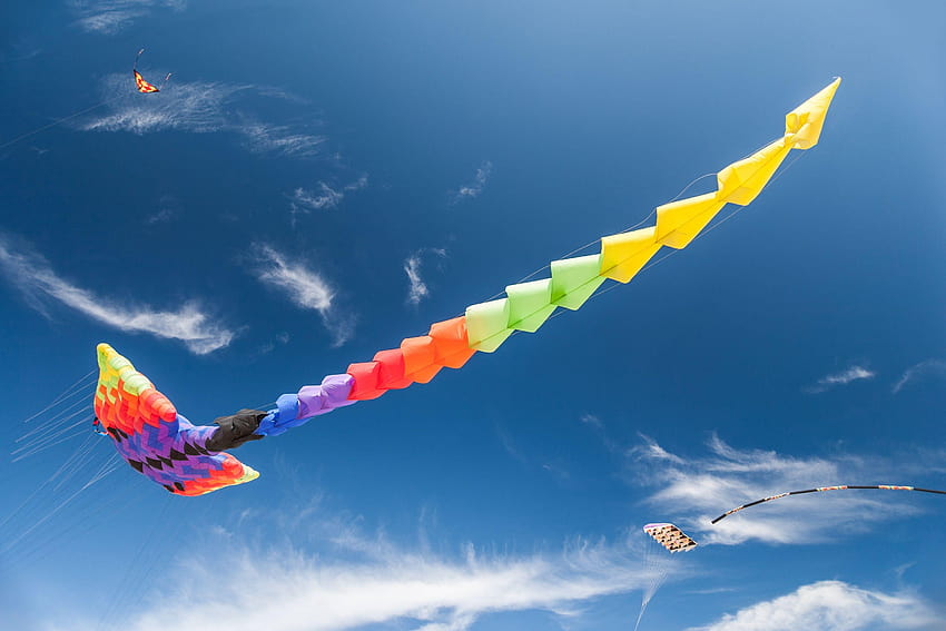 Kites flying in the sky Full and Backgrounds, of flying kite HD ...