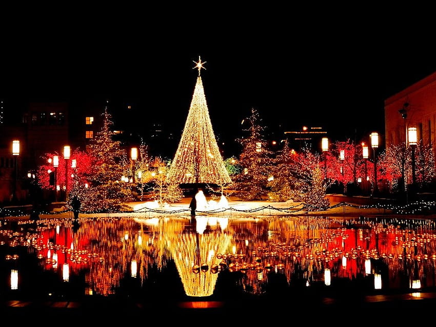 ต้นคริสต์มาสสะท้อนแสงที่มีมนต์ขลัง: ความละเอียดสูง, ความละเอียดสูง, แล็ปท็อปต้นคริสต์มาส วอลล์เปเปอร์ HD