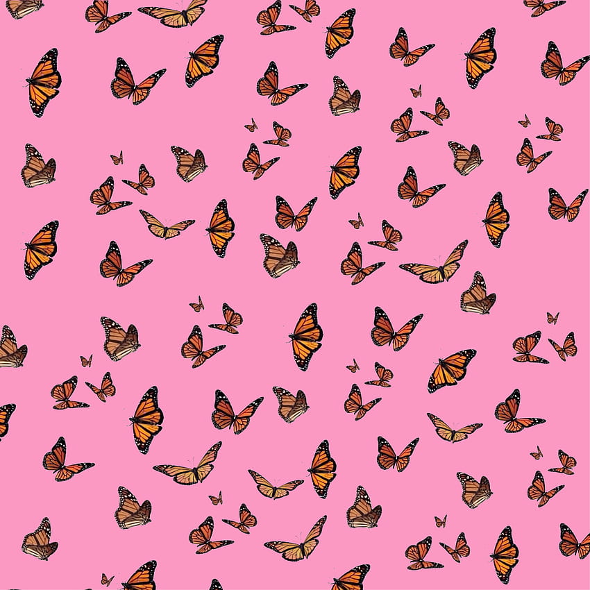 Edit butterfly by mikayla, aesthetics butterfly HD phone wallpaper | Pxfuel