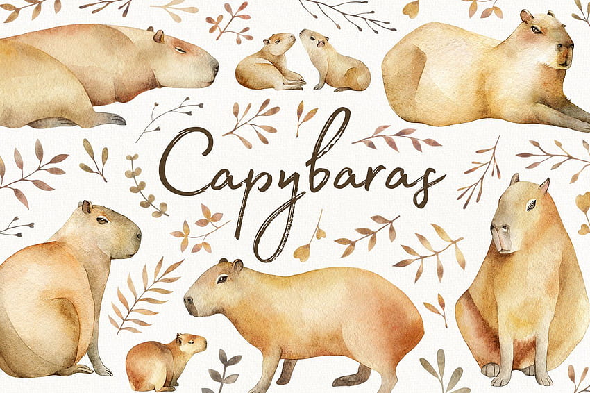 Комплект акварели Capybaras, карикатура на капибара HD тапет