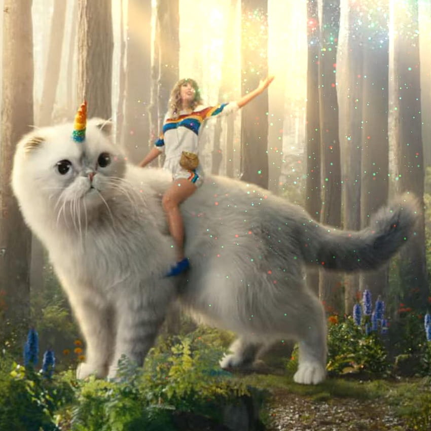 Steam Workshop::Taylor Swift に乗った彼女の猫 HD電話の壁紙