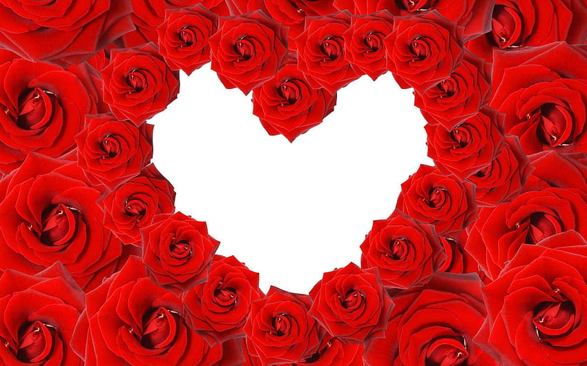 花: 愛の花 赤いハート バラ モバイル用の花、モバイル用のハートと花 高画質の壁紙