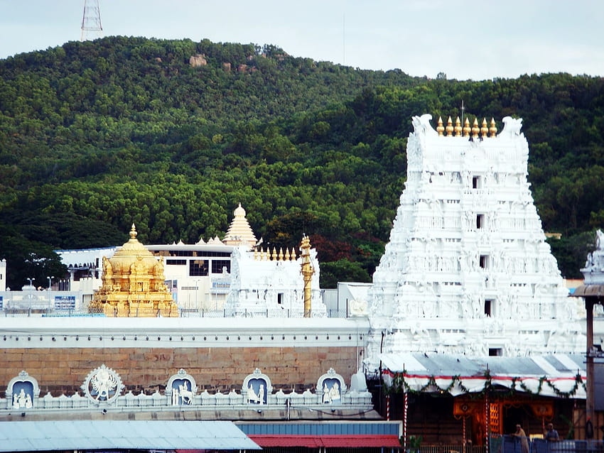 Kuil Tirupati Balaji, tirumala Wallpaper HD