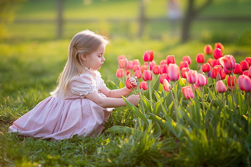 Małe dziewczynki Blondynka dziecko tulipanowa sukienka, dzieci dziewczyna Tapeta HD