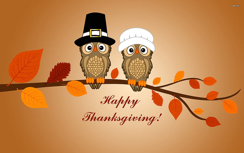 Happy Thanksgiving – Thanksgiving turkey Theme, thanksgiving laptop HD wallpaper