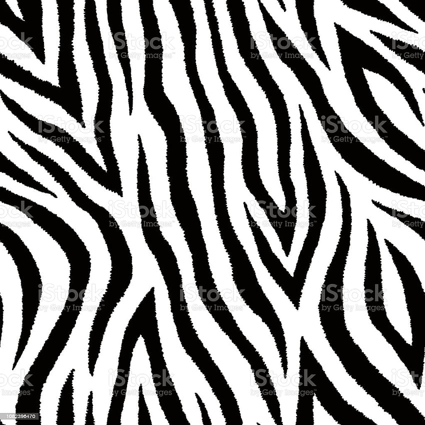 Seamless Pattern With Zebra Fur Print Vector Animal Skin Texture Stock Illustration HD phone wallpaper