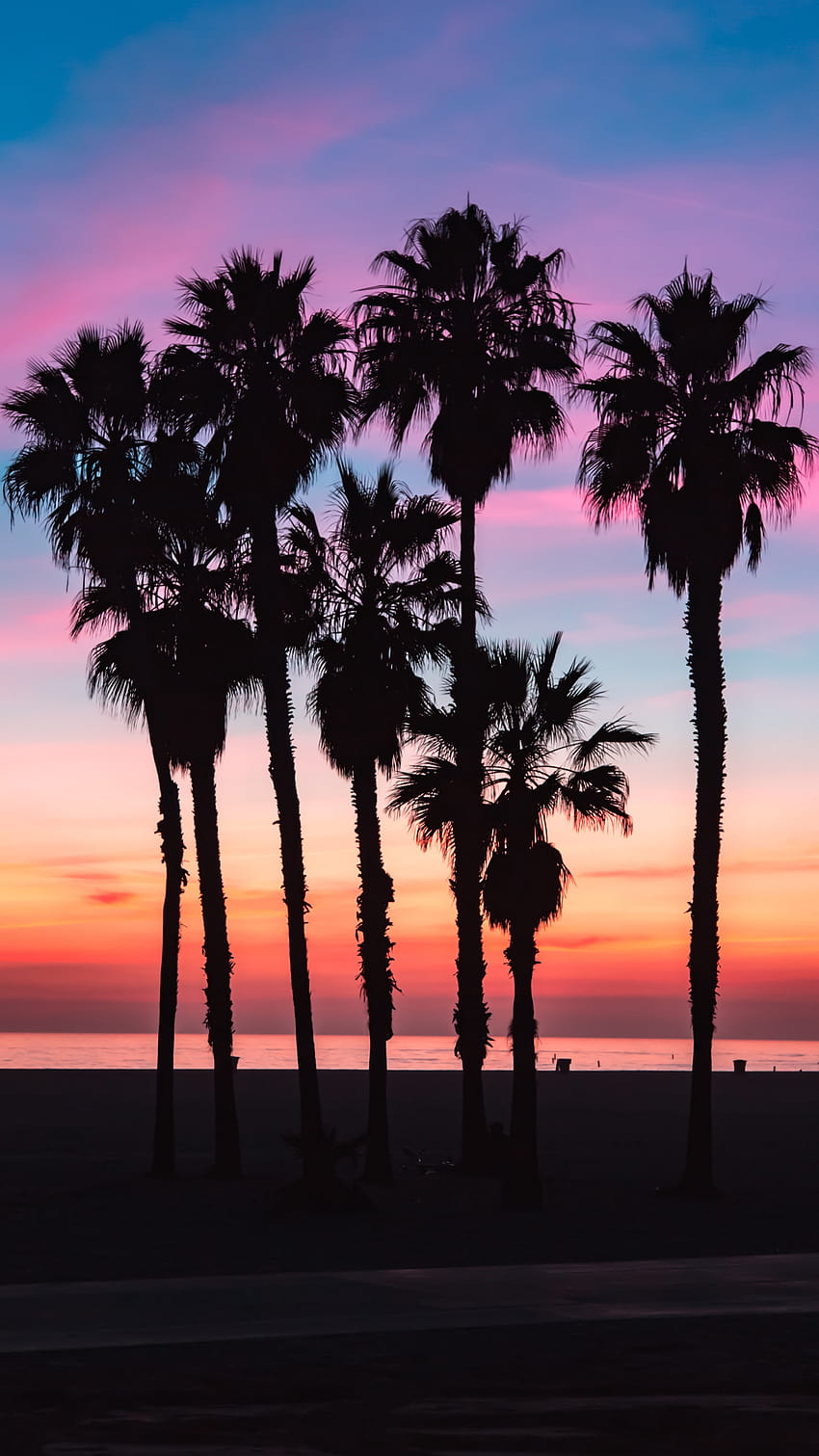 2160x3840 palmiers, silhouettes, ombre, ambiance de plage Fond d'écran de téléphone HD
