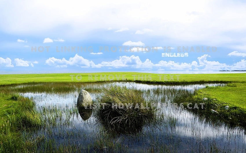 the marsh field sky wet grass outflow river HD wallpaper