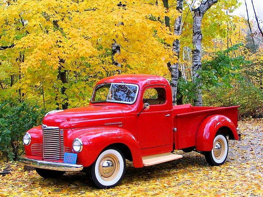 classic pick up trucks, old trucks HD wallpaper
