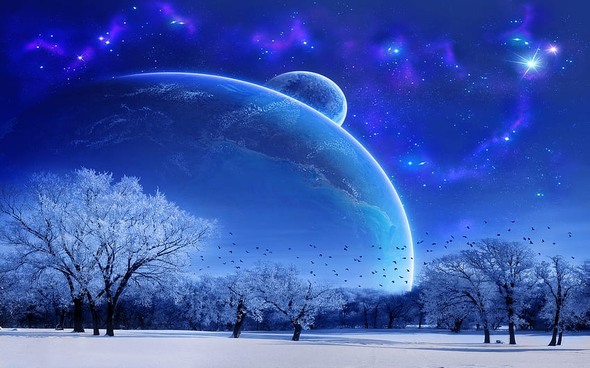 1920x1200 winter season snow stars planets 1680x1050 Animals ,Hi Res Animals  ,High Definition HD wallpaper | Pxfuel